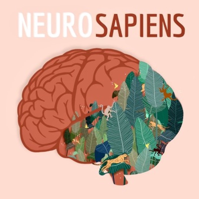 logo neurosapiens de la psychologue Anaïs ROUX